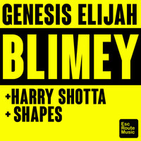 Thumbnail for the Genesis Elijah - Blimey link, provided by host site