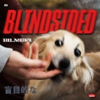 Thumbnail for the Bilmuri - Blindsided link, provided by host site