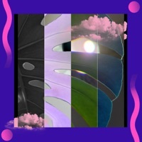Thumbnail for the Mau P - Blink link, provided by host site