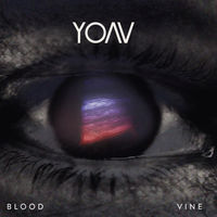 Thumbnail for the Yoav - Blink link, provided by host site
