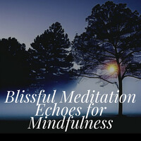 Thumbnail for the Focus - Blissful Meditation Echoes for Mindfulness link, provided by host site