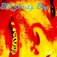 Thumbnail for the Scum - Blitkrieg Bop link, provided by host site
