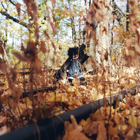 Thumbnail for the billy woods - BLK ZMBY link, provided by host site