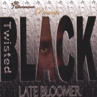 Thumbnail for the Twisted Black - Block Bleedin link, provided by host site
