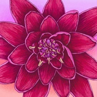 Thumbnail for the slchld - Blood Lotus Diary link, provided by host site