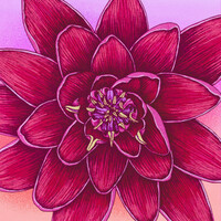 Thumbnail for the slchld - blood lotus diary link, provided by host site