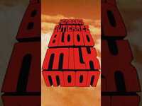 Thumbnail for the Hermanos Gutiérrez - "Blood Milk Moon" [#shorts] #instrumental #music link, provided by host site