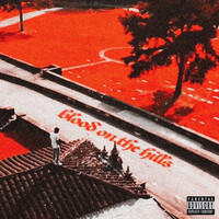 Thumbnail for the Pyrex - Blood On The Hills link, provided by host site