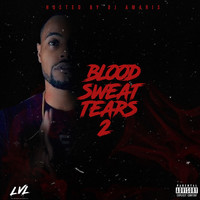 Thumbnail for the BUDD - Blood Sweat & Tears 2 link, provided by host site
