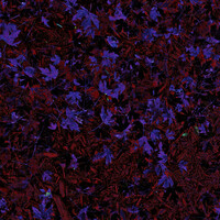 Thumbnail for the Van - Bloodbath link, provided by host site