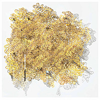 Thumbnail for the The National - Bloodbuzz Ohio link, provided by host site