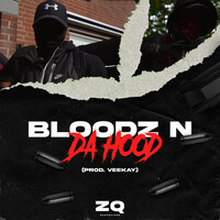 Thumbnail for the Impy - Bloodz N Da Hood link, provided by host site