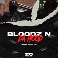 Thumbnail for the Impy - Bloodz N Da Hood link, provided by host site