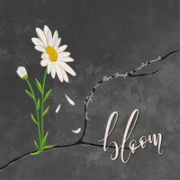 Thumbnail for the KAYE - Bloom link, provided by host site