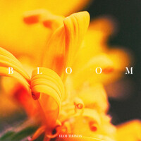 Thumbnail for the Liam Thomas - Bloom link, provided by host site