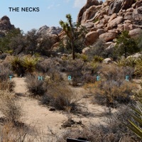 Thumbnail for the The Necks - Bloom link, provided by host site