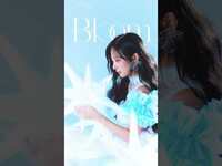 Thumbnail for the BOL4 - 볼빨간사춘기 - ‘Bloom’ Moving Poster link, provided by host site