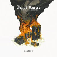 Thumbnail for the Frank Carter & The Rattlesnakes - Blossom link, provided by host site
