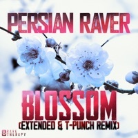 Thumbnail for the Persian Raver - Blossom (Extended Mix) link, provided by host site