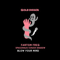 Thumbnail for the Fantom Freq - Blow Your Mind link, provided by host site