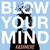 Thumbnail for the Kashmere - Blow Your Mind link, provided by host site