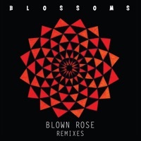 Thumbnail for the Blossoms - Blown Rose (Remixes) link, provided by host site