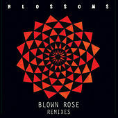 Thumbnail for the Blossoms - Blown Rose (Remixes) link, provided by host site