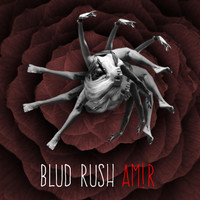 Thumbnail for the AM!R - Blud Rush link, provided by host site