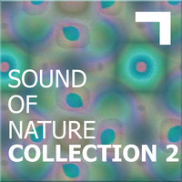 Image of Floatation linking to their artist page due to link from them being at the top of the main table on this page