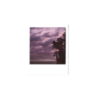 Image of Arbour linking to their artist page due to link from them being at the top of the main table on this page