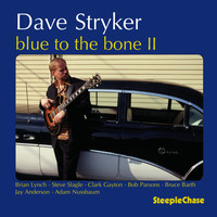 Thumbnail for the Dave Stryker - Blue to the Bone II link, provided by host site