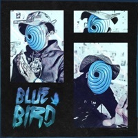 Thumbnail for the Offica - Bluebird link, provided by host site