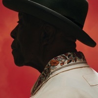 Thumbnail for the Buddy Guy - Blues Chase The Blues Away link, provided by host site