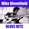 Thumbnail for the Mike Bloomfield - Blues Hits link, provided by host site