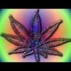 Thumbnail for the Geno - Blunts in Breakfast link, provided by host site