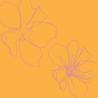 Thumbnail for the Facta - Blush link, provided by host site
