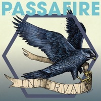 Thumbnail for the Passafire - Bobber link, provided by host site
