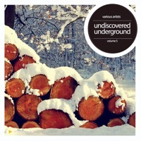 Thumbnail for the Dontknower - Bobby Cooper (Shawn Rubens Remix) link, provided by host site