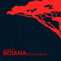 Thumbnail for the Andre Rizo - Boiana (Remix) link, provided by host site