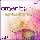 Thumbnail for the Jaceo - Boink! (Ant Brooks Remix) link, provided by host site