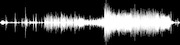Thumbnail for the Ween - Boise Botanical Gardens link, provided by host site