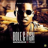 Thumbnail for the Knowledge - Bole & Fish link, provided by host site
