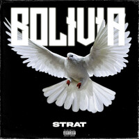Thumbnail for the Strat - BOLIVIA link, provided by host site