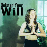 Thumbnail for the The Soul Searchers - Bolster Your Will link, provided by host site