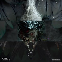 Image of Posij linking to their artist page due to link from them being at the top of the main table on this page