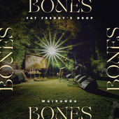 Thumbnail for the Fat Freddy's Drop - Bones link, provided by host site