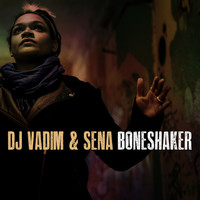 Thumbnail for the DJ Vadim - Boneshaker link, provided by host site