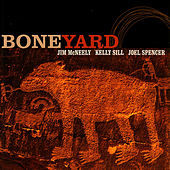 Thumbnail for the Jim McNeely - Boneyard link, provided by host site