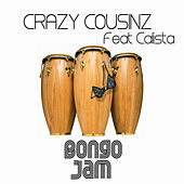 Thumbnail for the Crazy Cousinz - Bongo Jam link, provided by host site