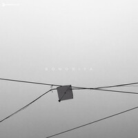 Thumbnail for the Rohit - Bonoriya link, provided by host site